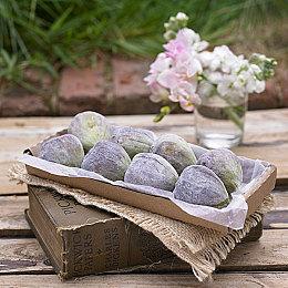 《孤岛惊魂6》概览预告片展示全新未公布片段